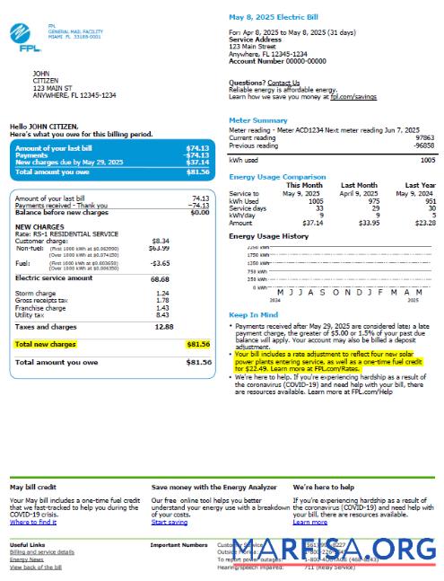 Printable USA FPL utility bill template in Word and PDF formats, version 2